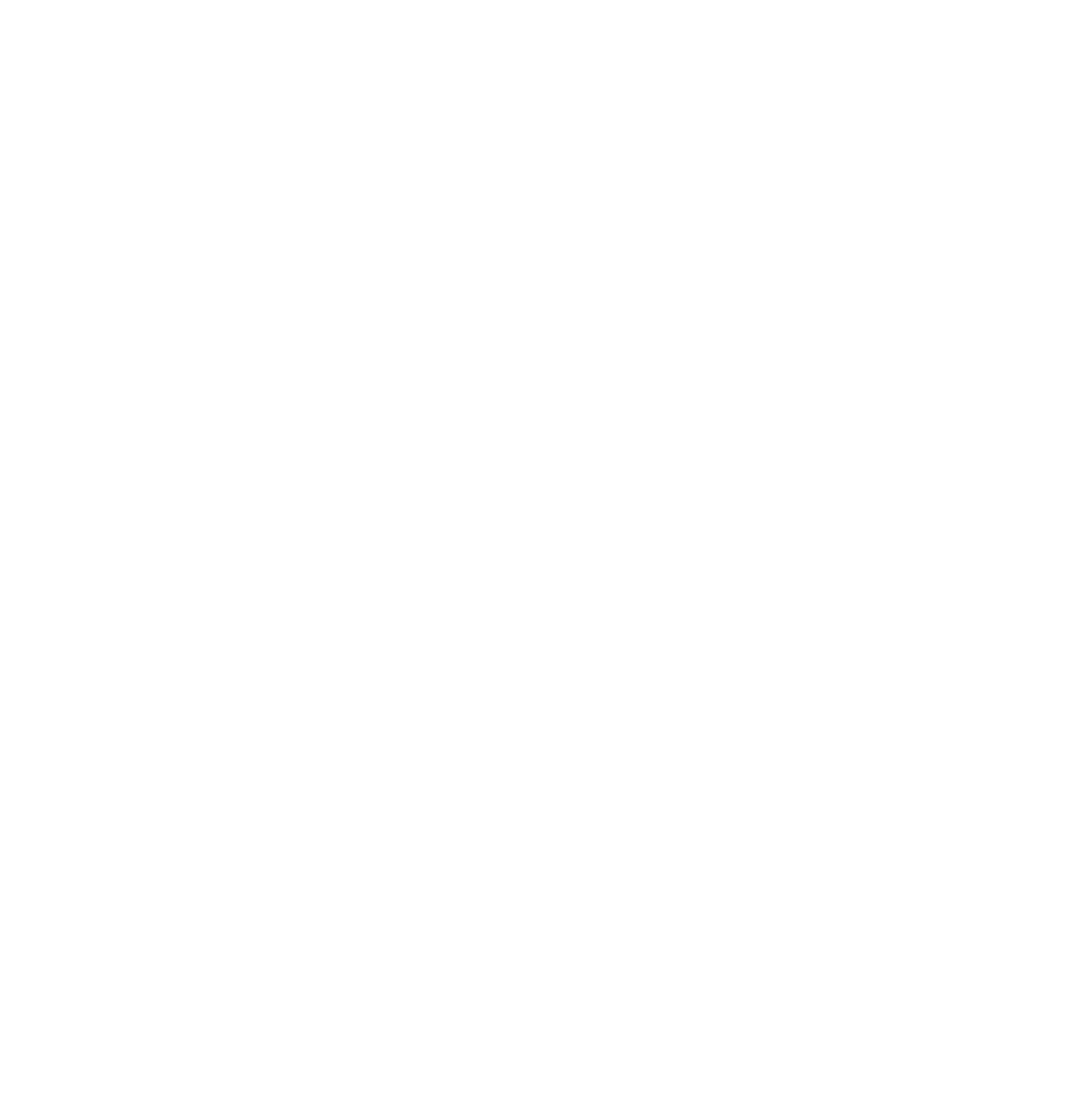 Body Nature Spirit Logo